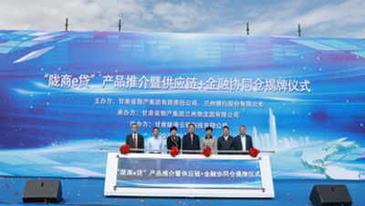 通過(guò)發(fā)行公司債券、不動(dòng)產(chǎn)投資信托基金（REITs）、培育上市公司等債權(quán)、股權(quán)融資工具和發(fā)起設(shè)立產(chǎn)業(yè)基金，拓寬多元化融資渠道；提供貨物在途監(jiān)管和在庫(kù)監(jiān)管，引入銀行、信托等金融機(jī)構(gòu)，開(kāi)展倉(cāng)單質(zhì)押、保理等業(yè)務(wù)；逐步拓展B2B供應(yīng)鏈服務(wù)平臺(tái)服務(wù)范圍，通過(guò)倉(cāng)配一體化、“隴易商”、供應(yīng)鏈+金融為區(qū)域流通行業(yè)及相關(guān)產(chǎn)業(yè)客戶(hù)提供“四流合一”的完整供應(yīng)鏈服務(wù)解決方案。