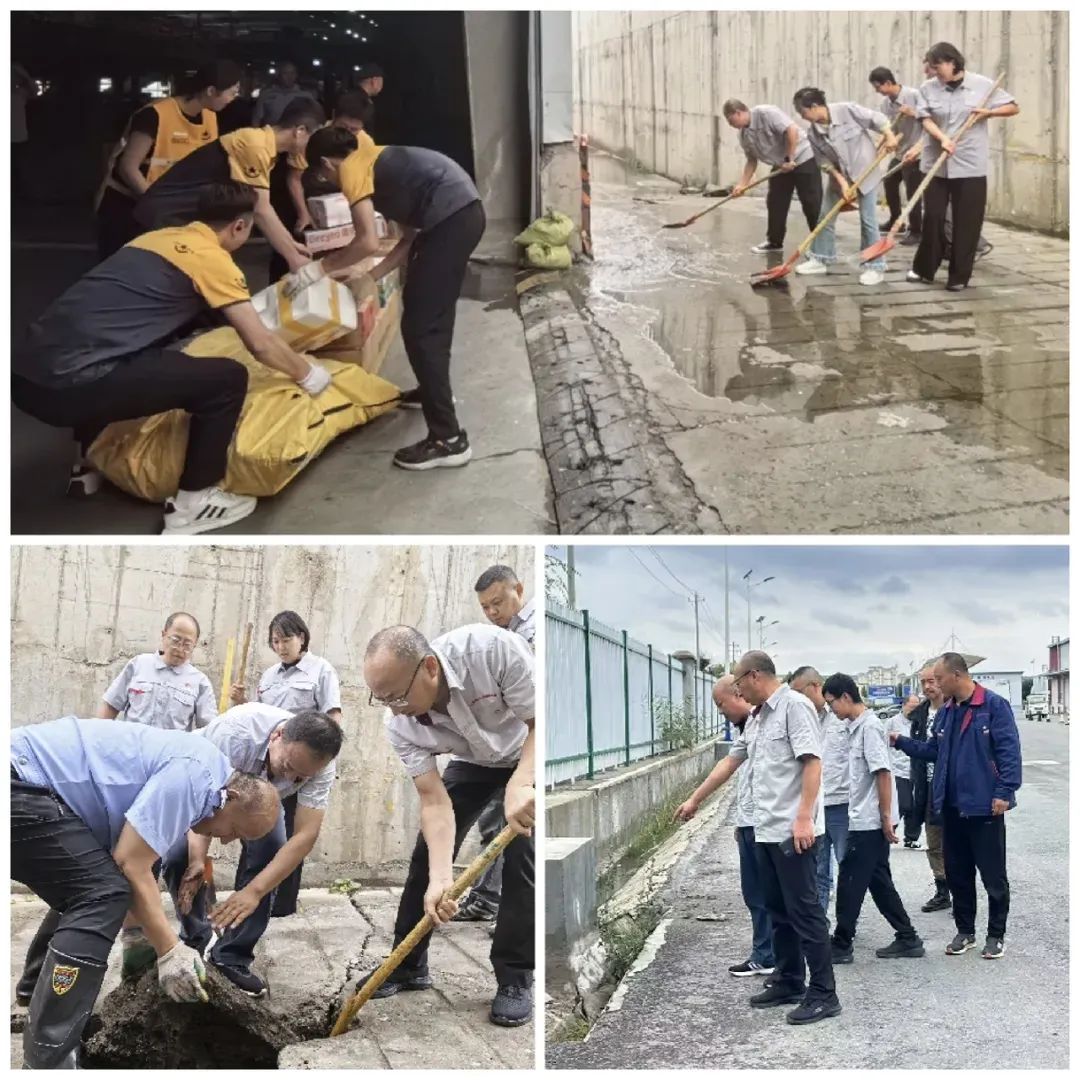 202508131755071355403829.jpg 4215baa3b39645d760341185603bda3e.jpg