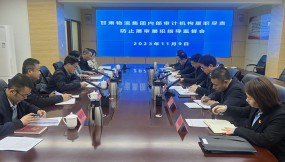  省審計廳黨組成員、副廳長陳炎人到 甘肅物流集團(tuán)指導(dǎo)監(jiān)督工作